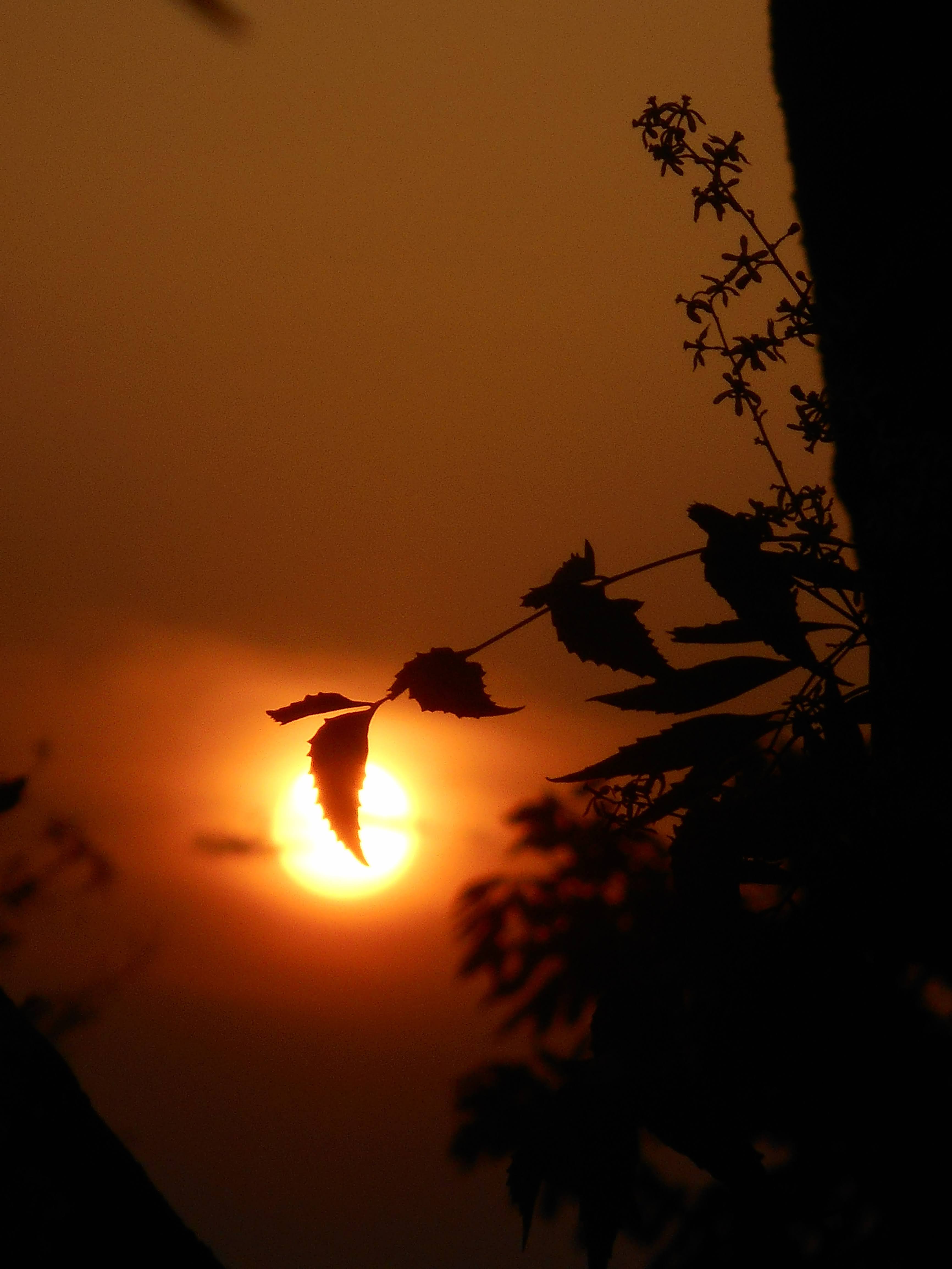 Depth of Field